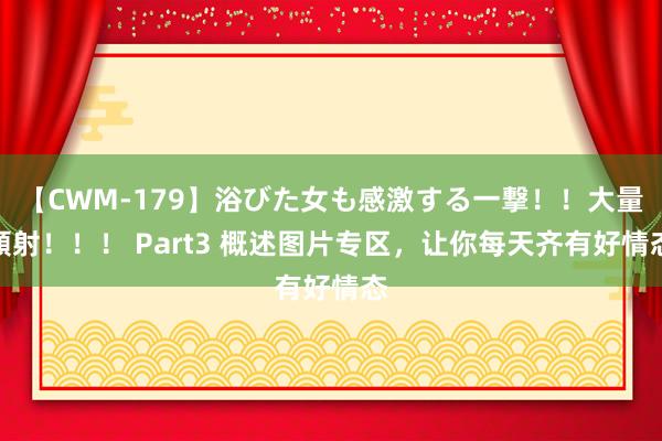 【CWM-179】浴びた女も感激する一撃！！大量顔射！！！ Part3 概述图片专区，让你每天齐有好情态