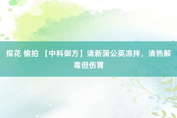 探花 偷拍 【中科御方】清新蒲公英凉拌，清热解毒但伤胃