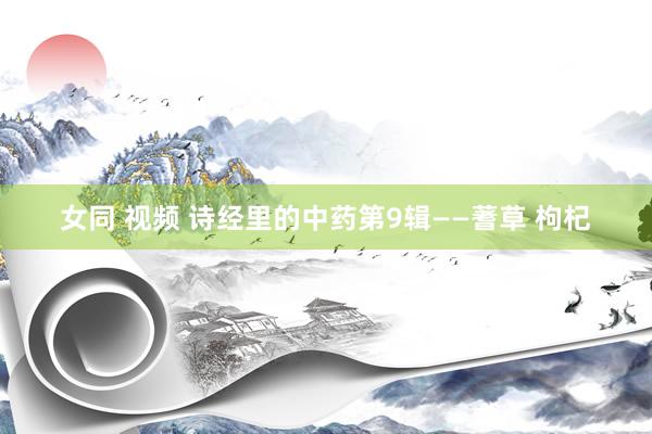 女同 视频 诗经里的中药第9辑——蓍草 枸杞