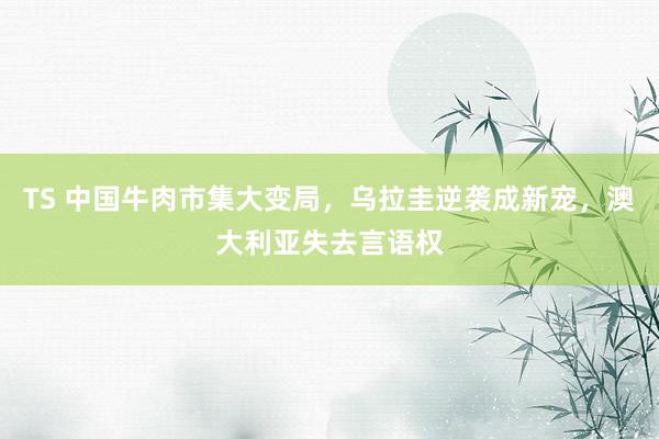 TS 中国牛肉市集大变局，乌拉圭逆袭成新宠，澳大利亚失去言语权
