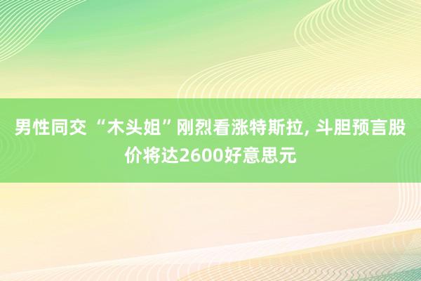 男性同交 “木头姐”刚烈看涨特斯拉, 斗胆预言股价将达2600好意思元