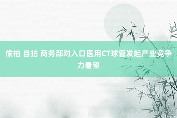 偷拍 自拍 商务部对入口医用CT球管发起产业竞争力看望