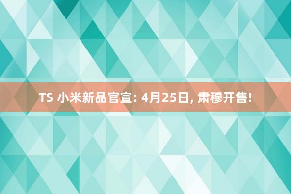 TS 小米新品官宣: 4月25日, 肃穆开售!