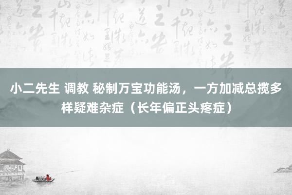 小二先生 调教 秘制万宝功能汤，一方加减总揽多样疑难杂症（长年偏正头疼症）